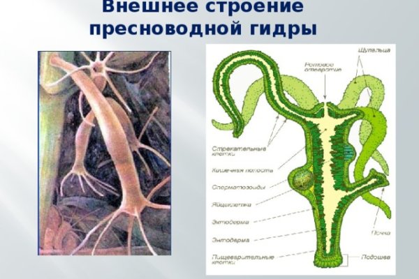 Актуальный сайт кракена