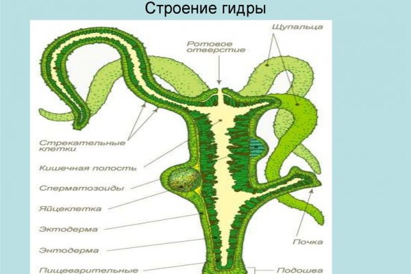 Кракен не работает тор