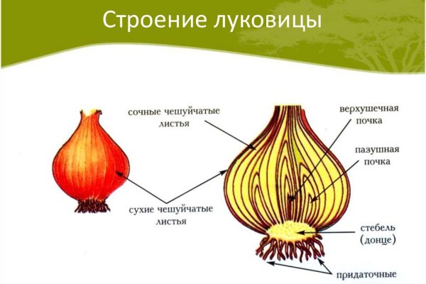 Зайти на кракен через браузер